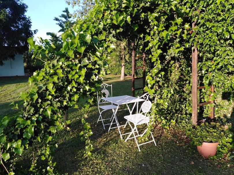 צ'זנה B&B Borgo Del Priolo - Petfriendly מראה חיצוני תמונה
